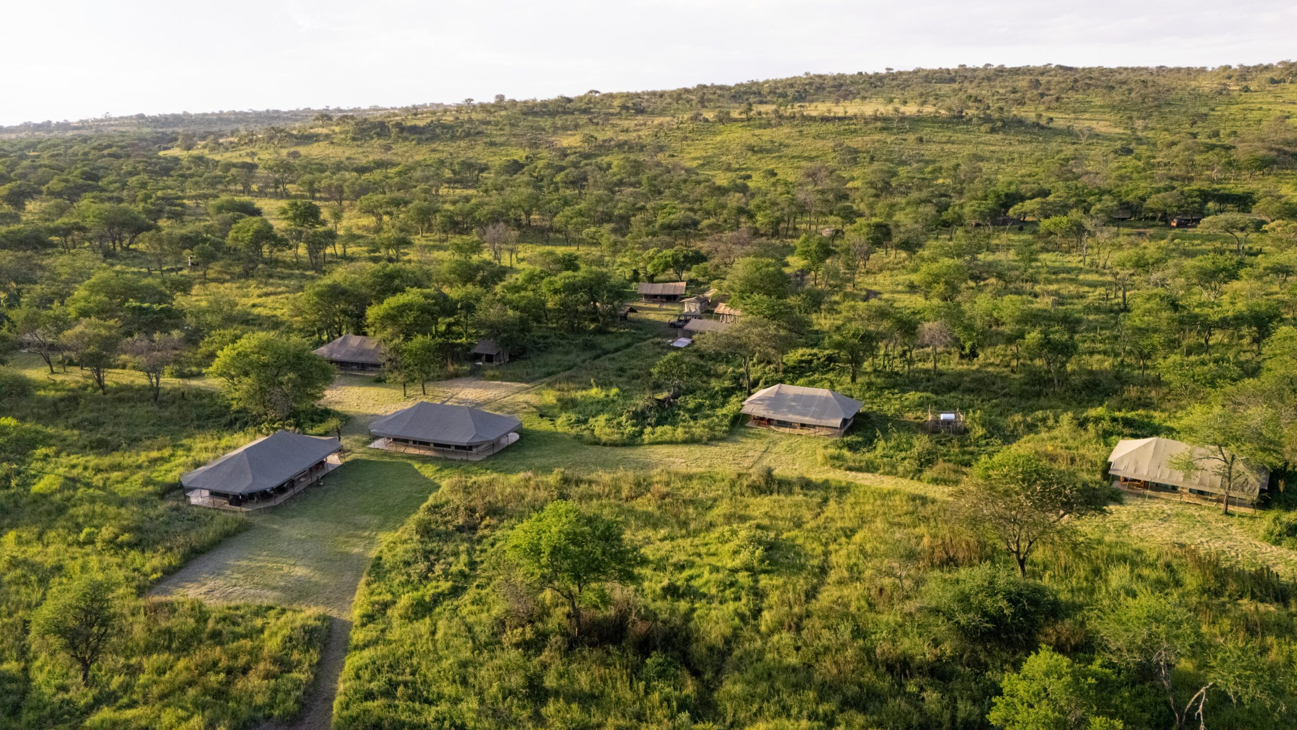 Naona Moru Camp